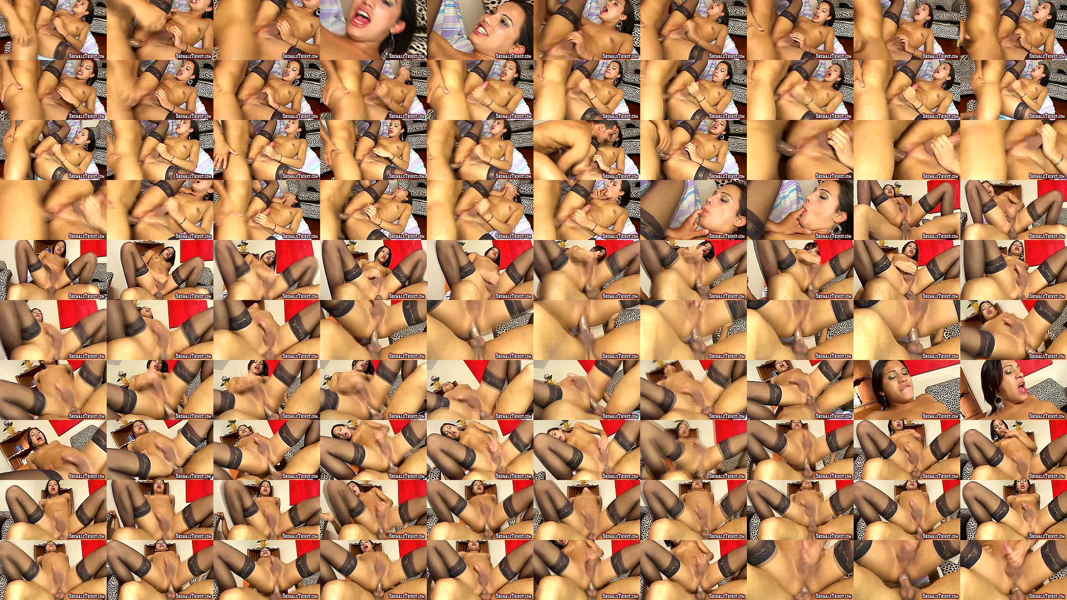 shemale analfucking 预览图