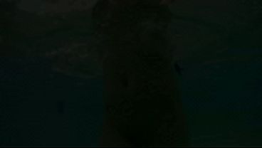 Latina perfect woman fucked at sunset in a pool