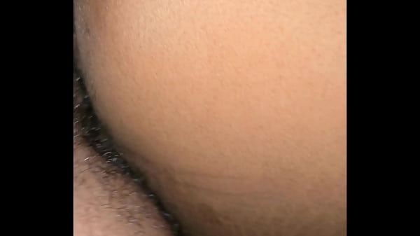 As galinhas acordando e o peru entrando