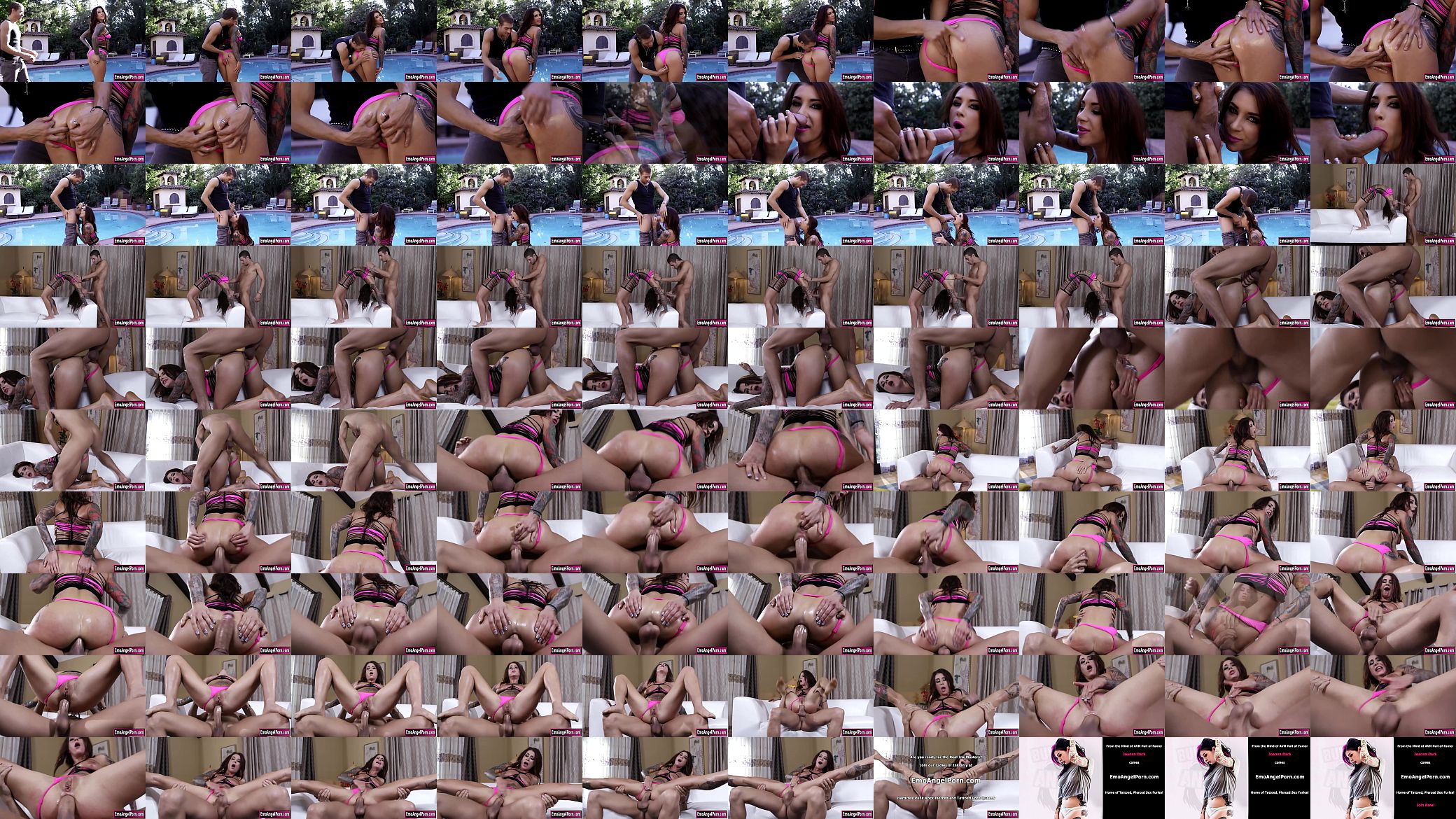 Tattooed brunette loves getting analed 预览图