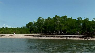 Marcia Gets Fucked In The Sweaty Amazon