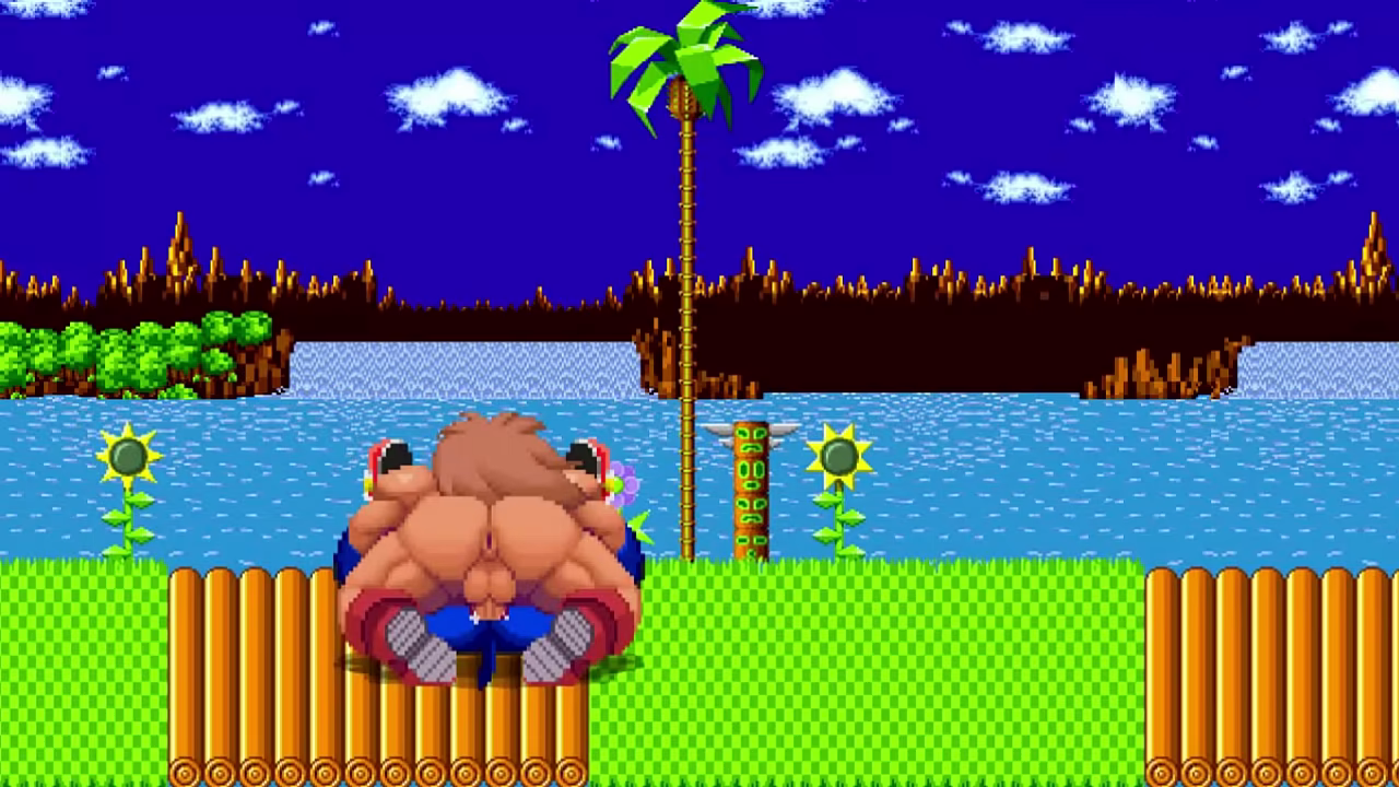 MUGEN: Sonic The Hedgehog X Leo