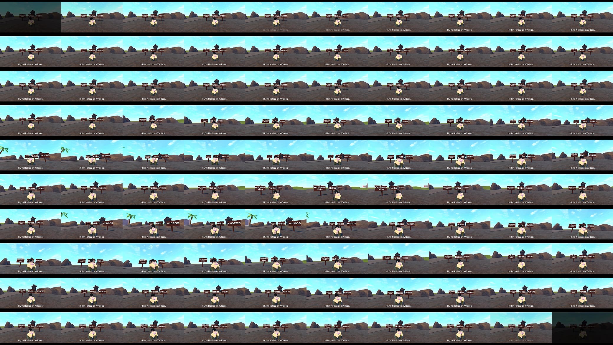 Verification video 预览图