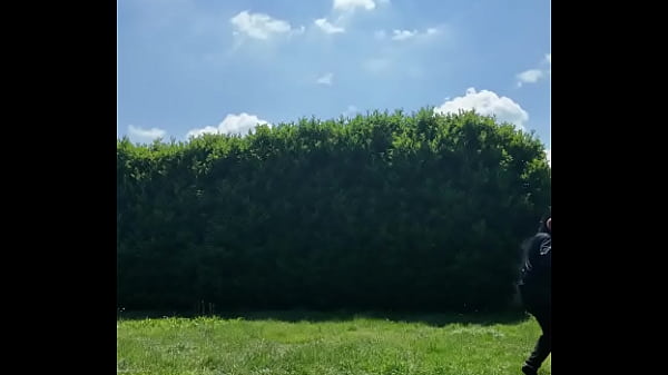 ️ Alex the Monkey's Journal:Today I tried to cut the grass.I don't know if I won... but the grass definitel ...