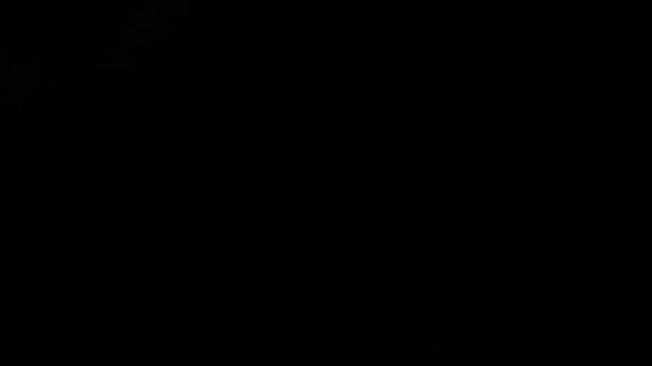 Download Video - Charlie Jessica fuccin at our house