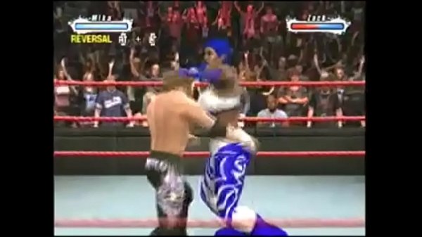 tamika vs zack ryder