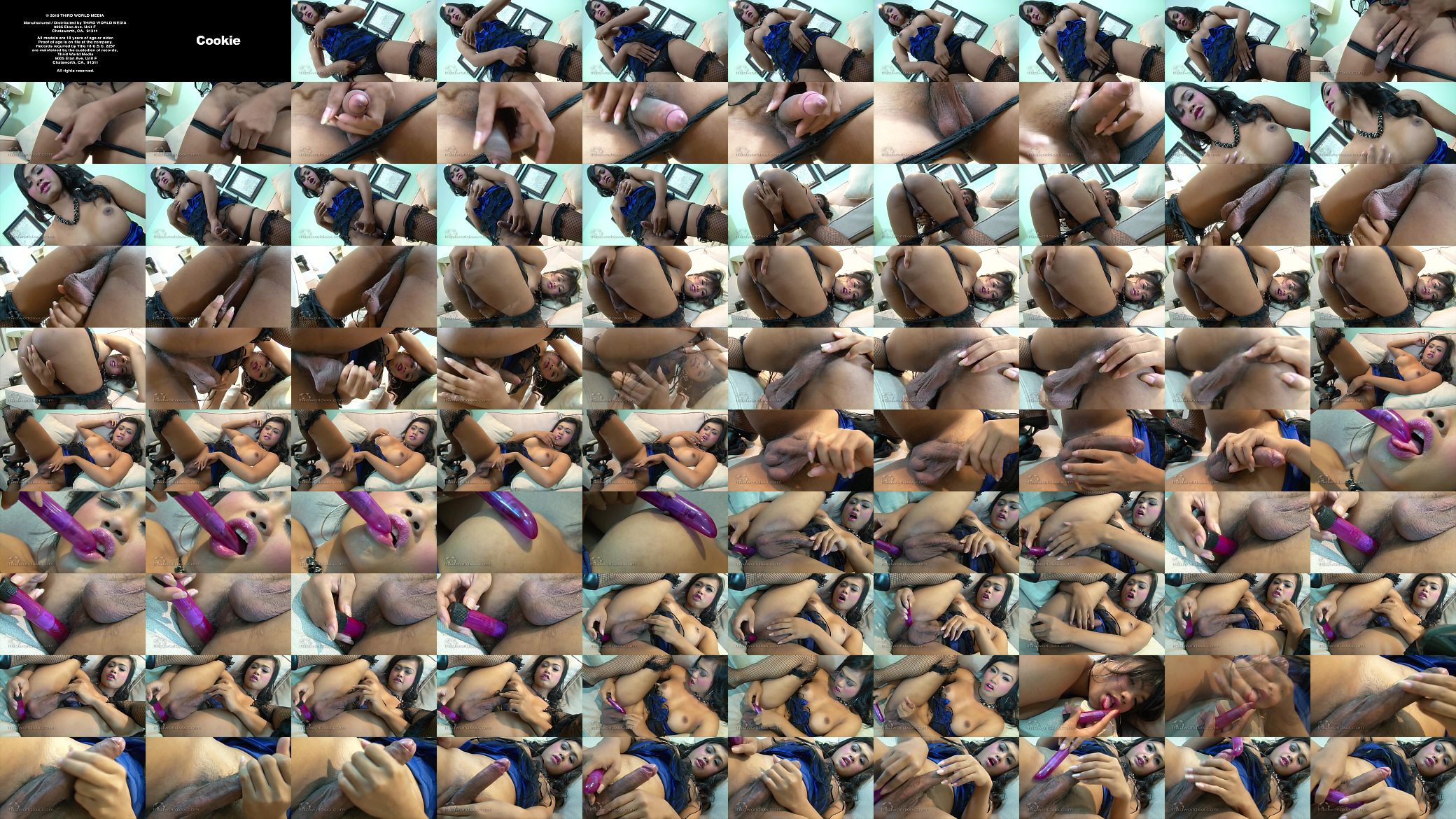 T-Girl Cookie Makes Herself Cum 预览图