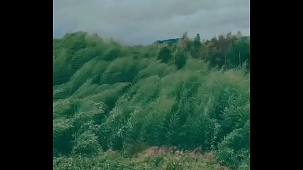 Video x&aacute;c minh