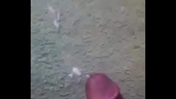 video 803845-1