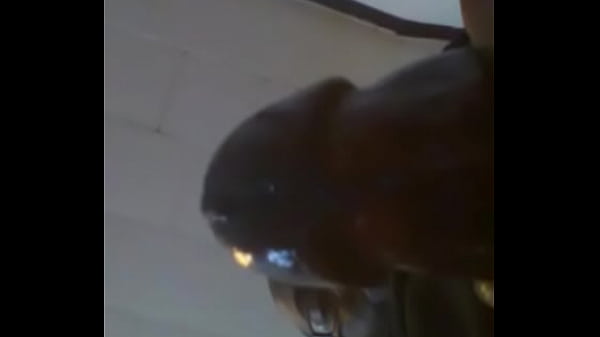 Received 1280674351994964