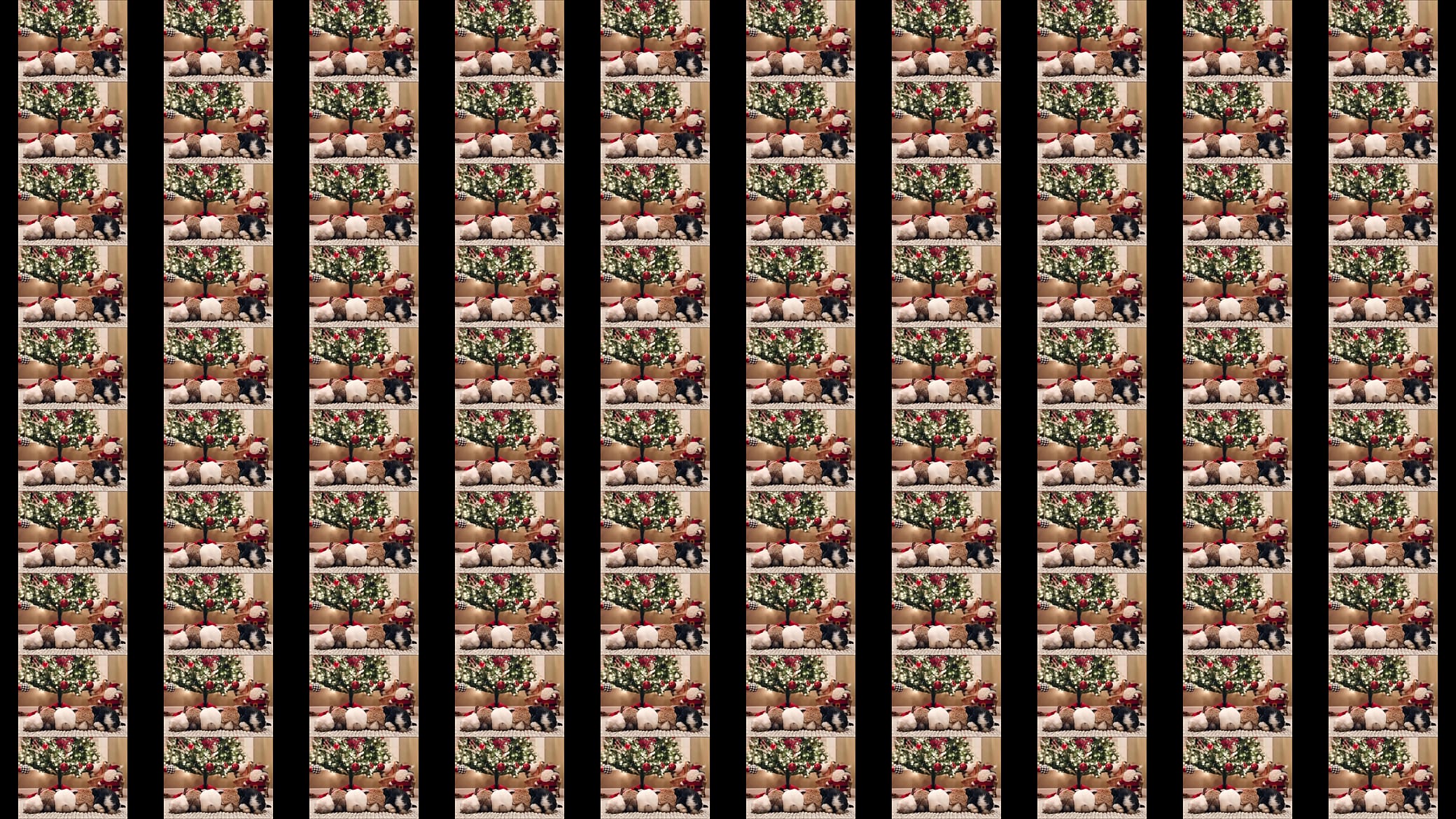 33333333 预览图