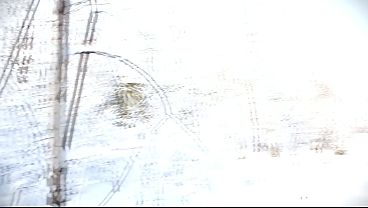 Risky Hotel stairs blowjob cumshot spitting public cock sucking