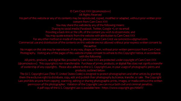 Licking a blonde's pussy