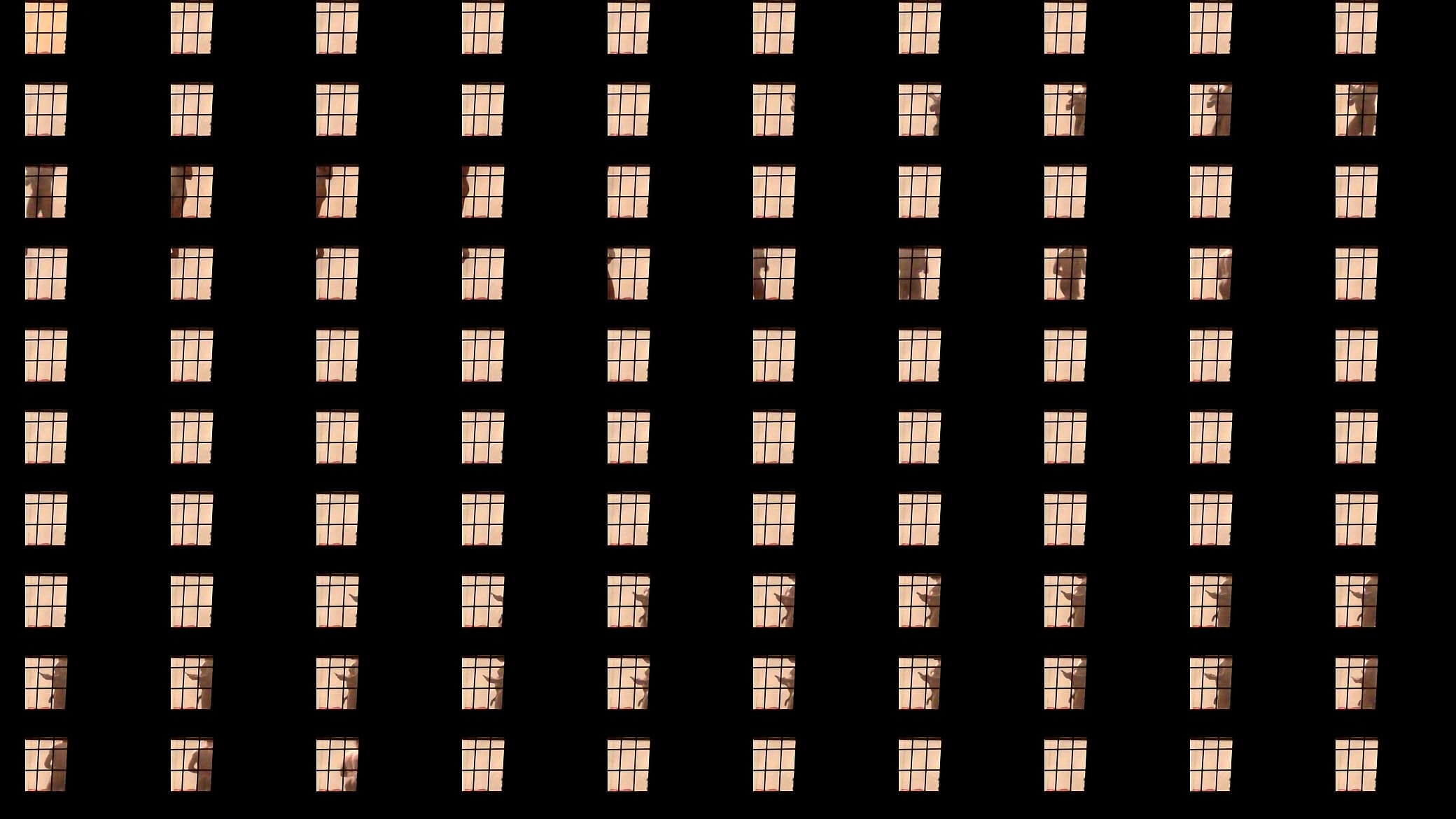 Landlord 2.MOV 预览图