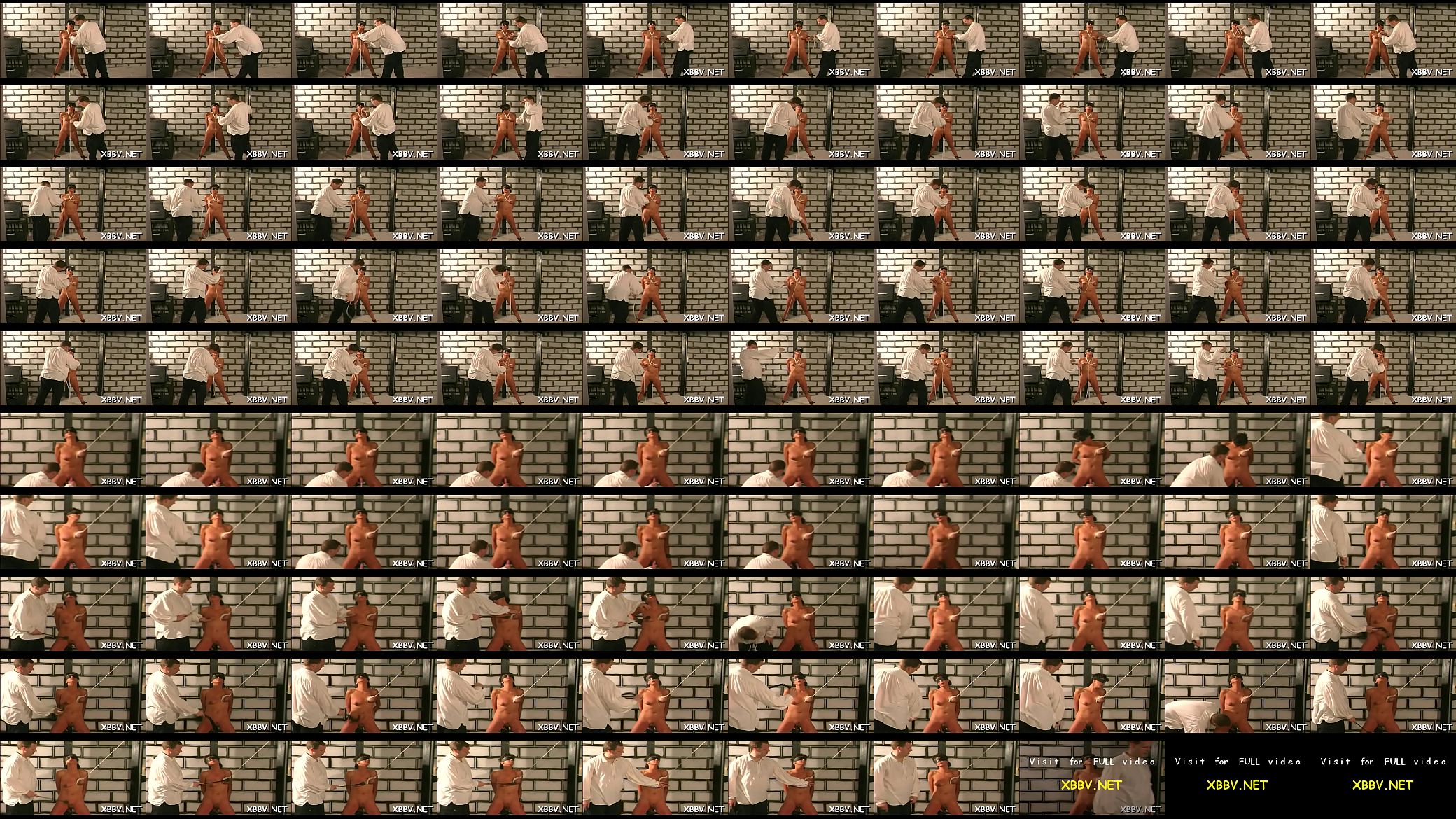 Some ambitious honeys are into breast bondage and bdsm 预览图