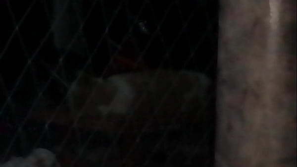 Video xác minh