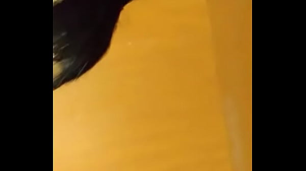 First Oral Bitch