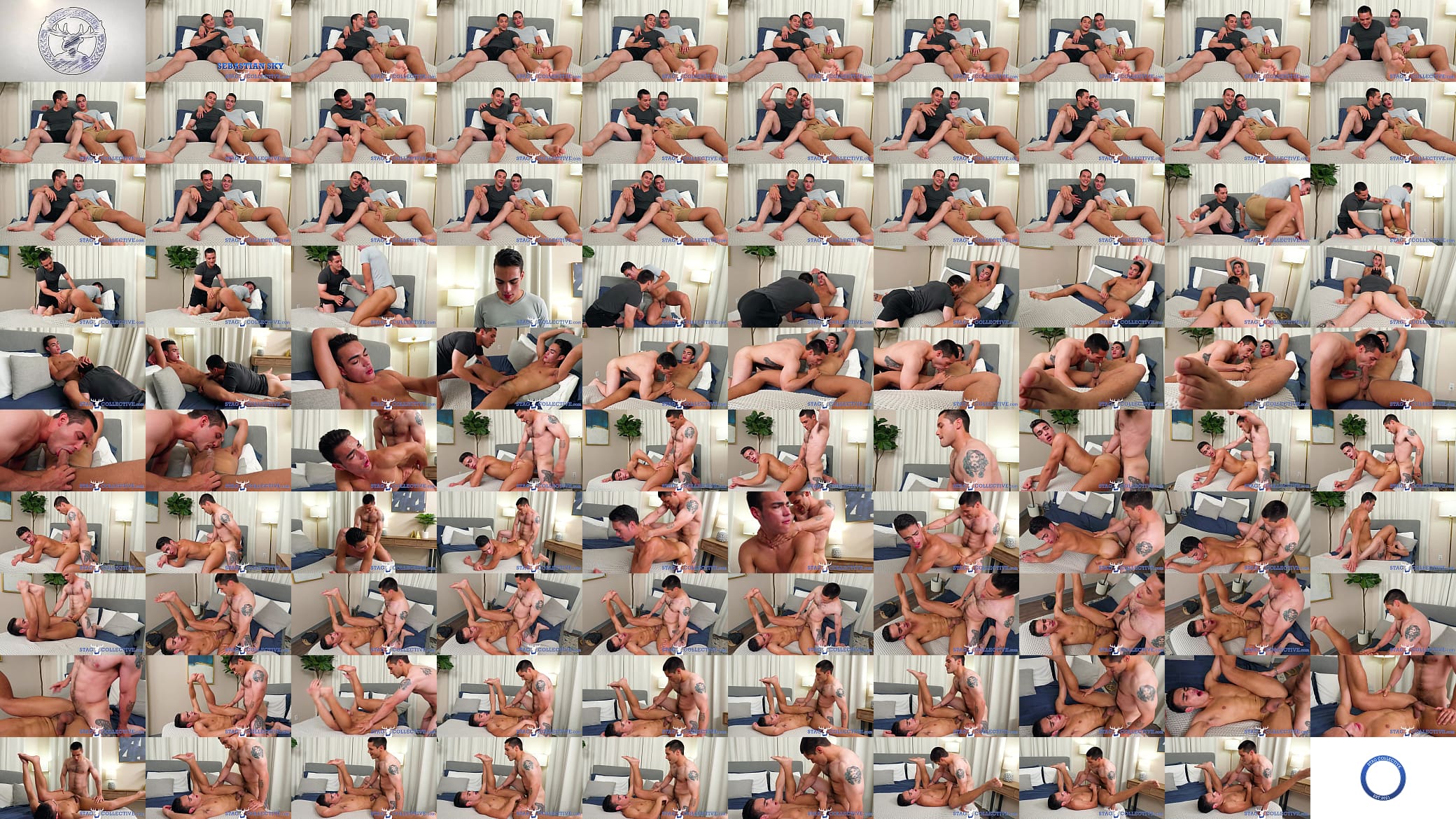 StagCollective - Hairy Stud Andrew Miller Pounds Big Ass Latino Jock 预览图
