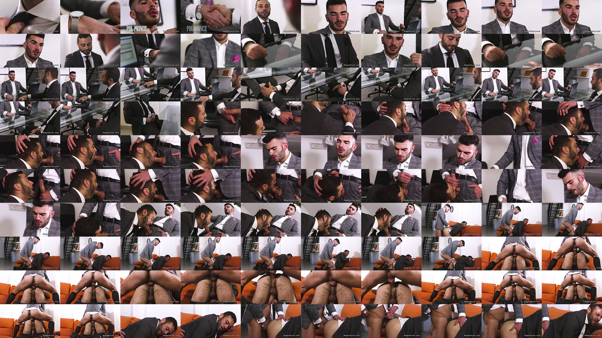 Real estate agent is fucked for a job in the office 预览图