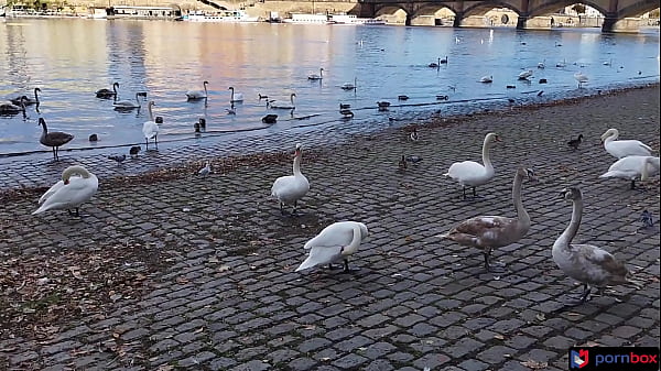 Valley of swans double pussy paradise first (DVP) for Katy Rose