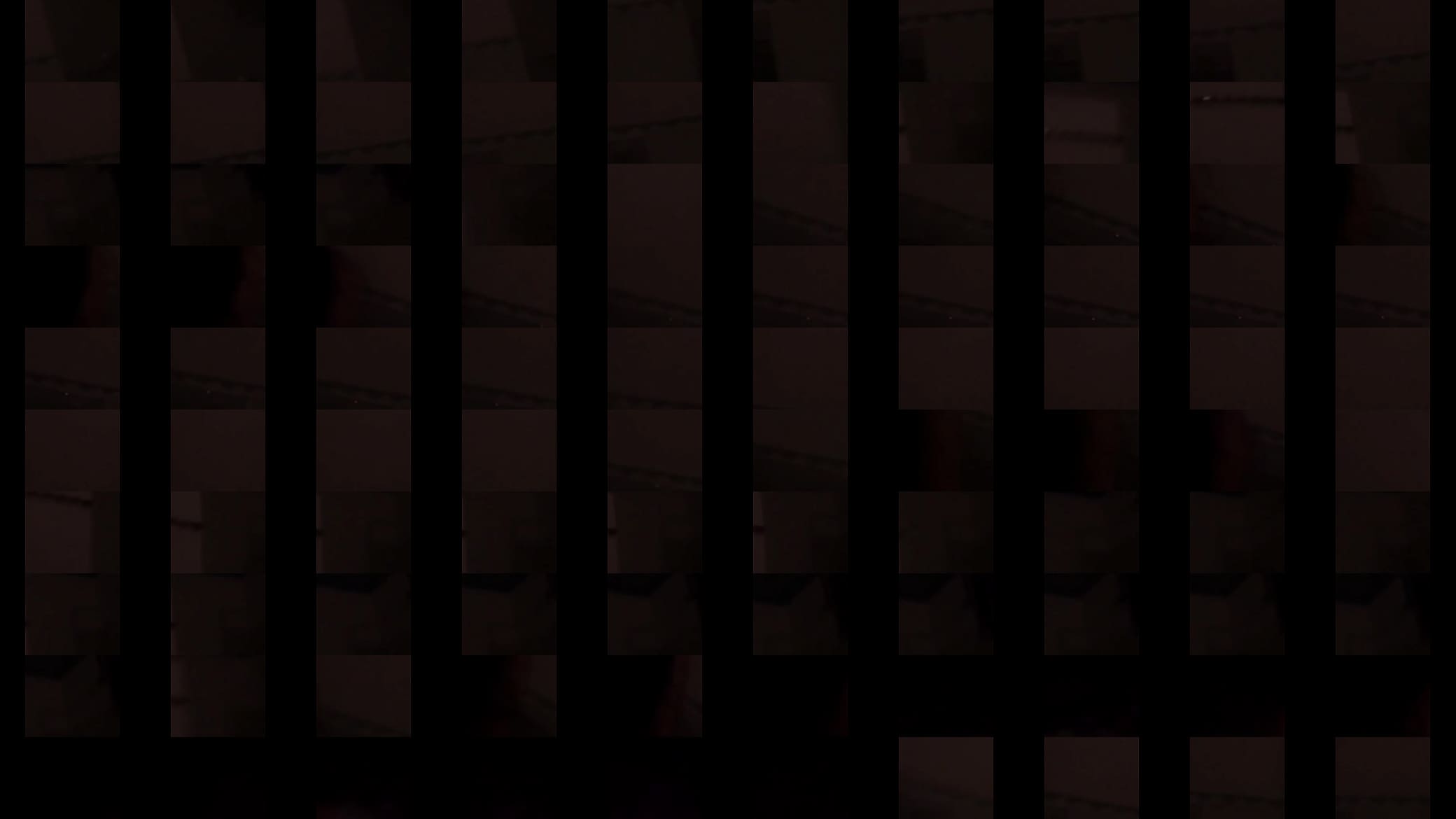 Verification video 预览图
