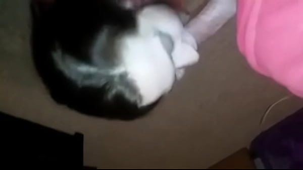 Sexy girlfriend sucking me