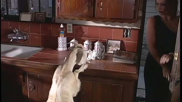 Hot Tatted MILF Ravaged