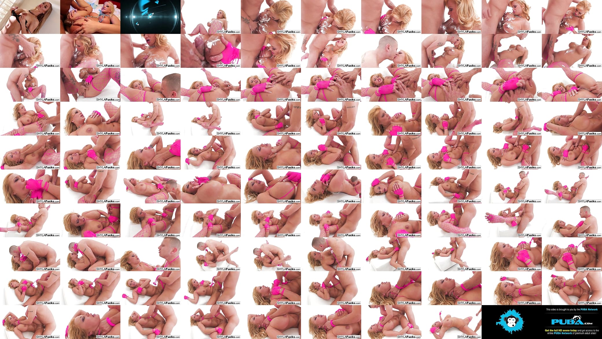 Sexy Shyla Stylez&#039;s last hardcore gonzo fuck 预览图