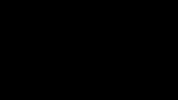 Le doy duro y me deja al siguiente dia 2