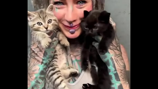 Adorable kittens always make everything better ?Which animal brings you the most comfort?#KittenLove #CuddleVibes ...
