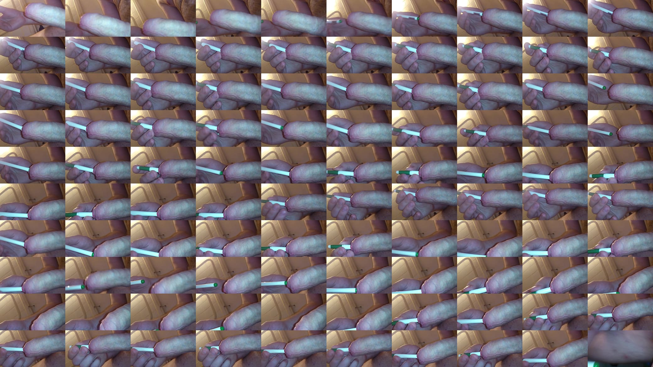 pen in cock 预览图