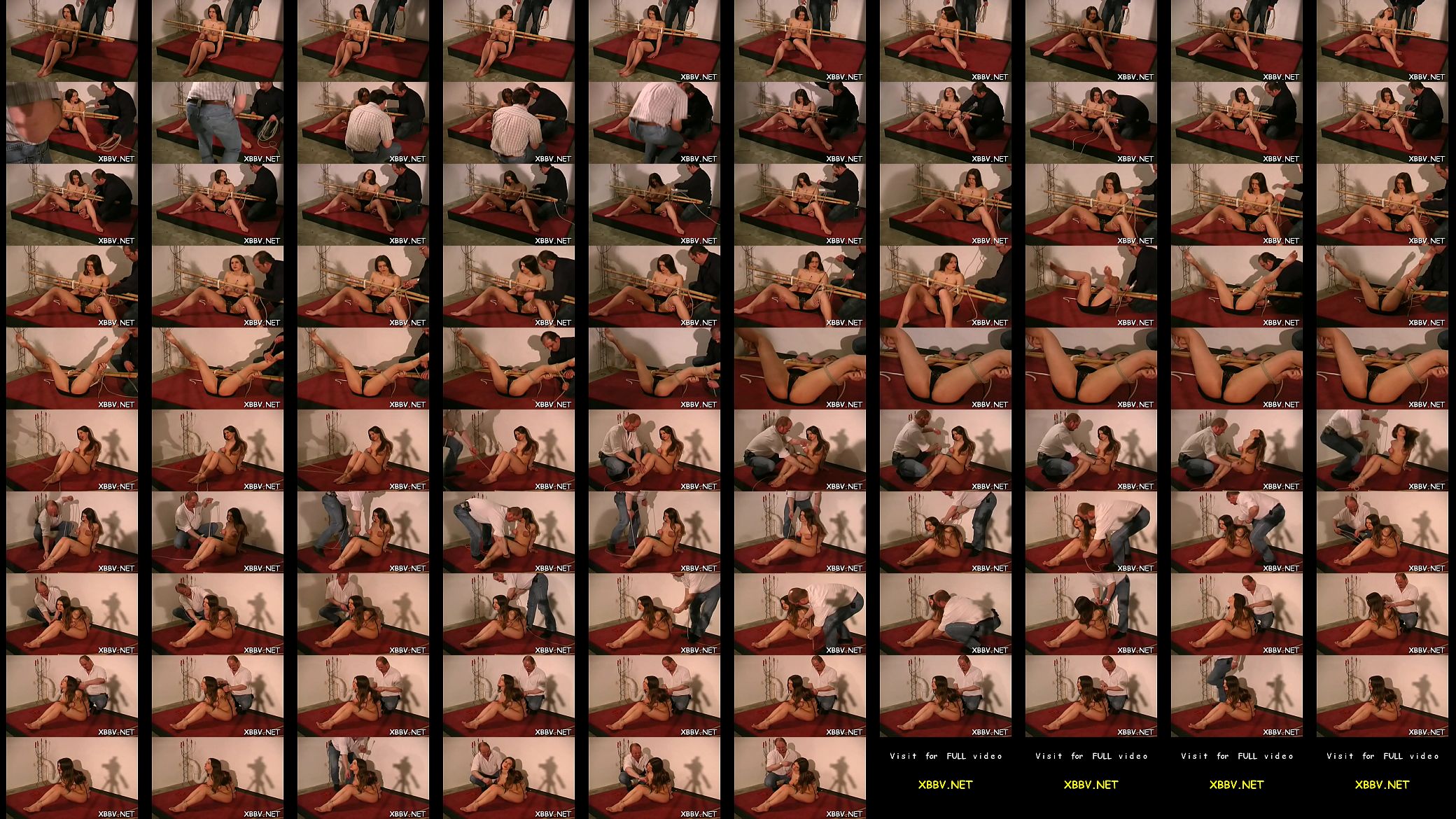 Breasty female hawt bondage 预览图