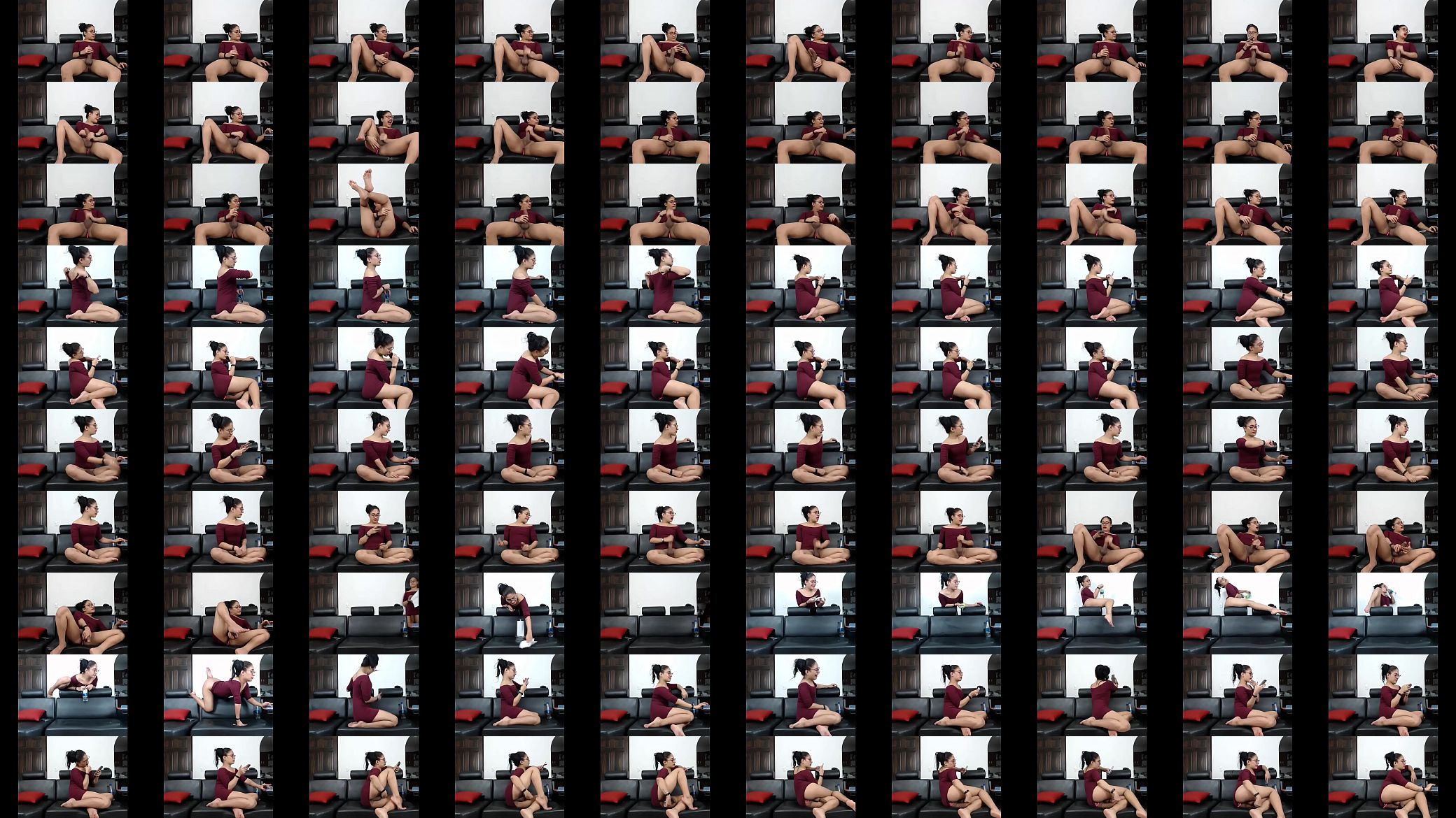 Skarleeth webcam 7 预览图