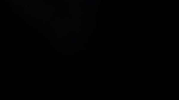 IzzyMarie getting down on the cock