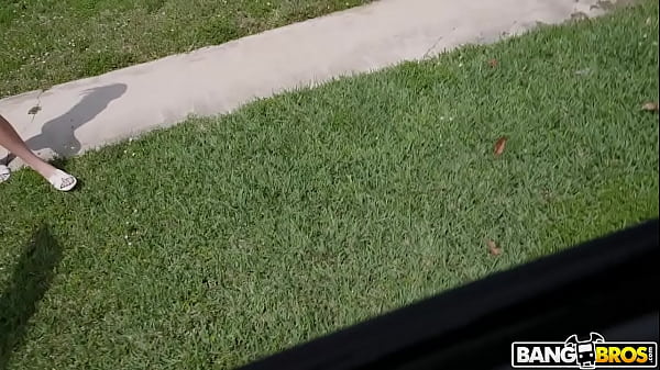 Spring Break Sex