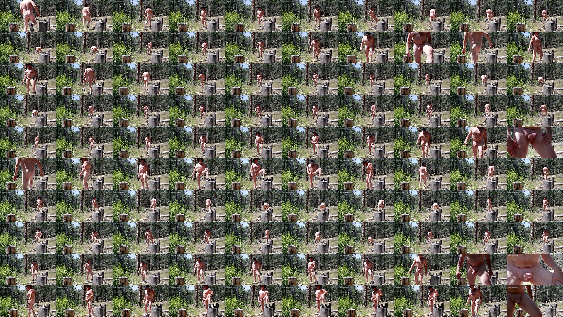 Simscristian05 - update #638 - NAKED WALK IN THE FOREST - SHEER - Jun 10, 2026 预览图