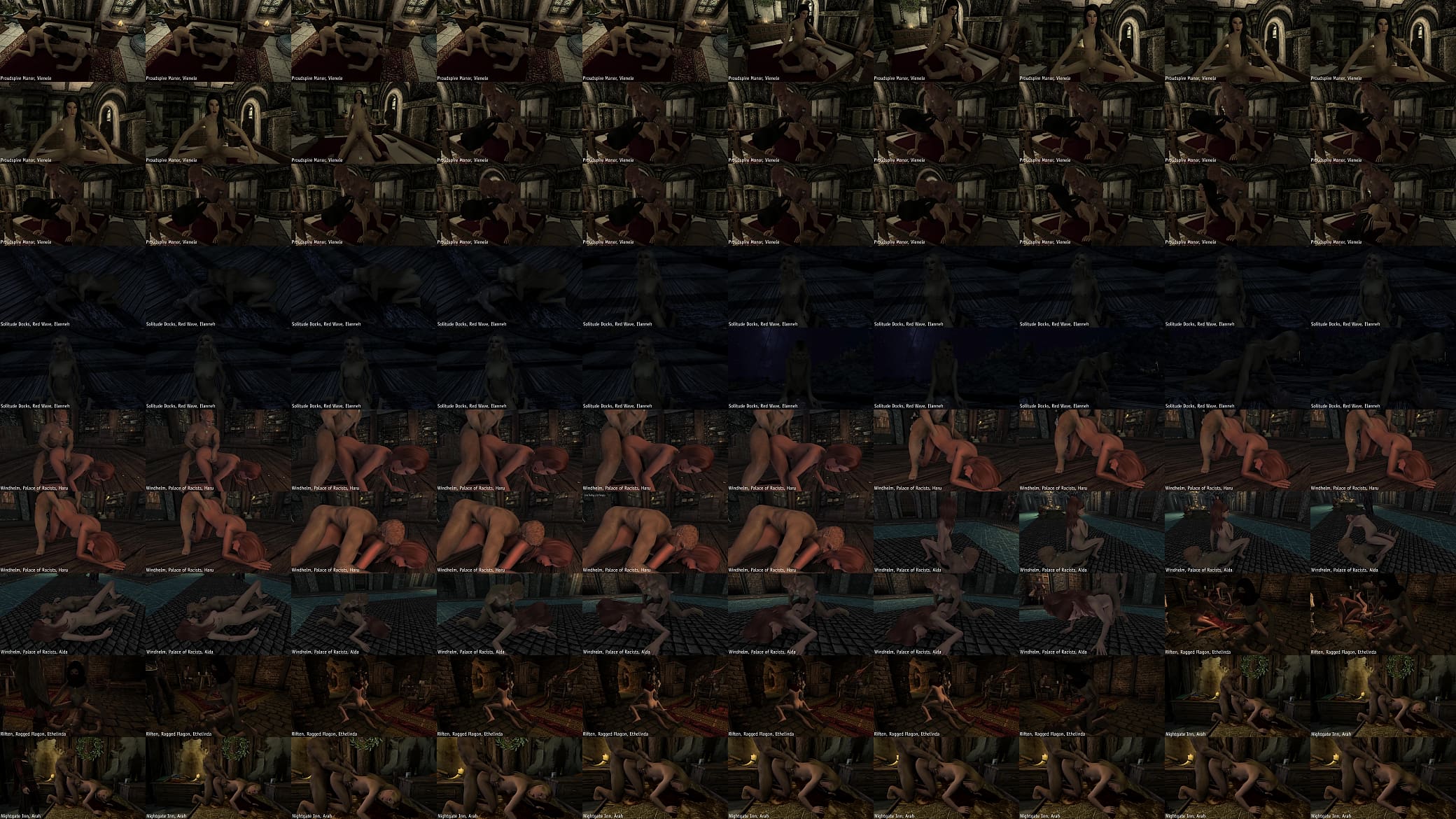 Skyrim Sexlab HPNPCO Wenches Visited Part 1 预览图