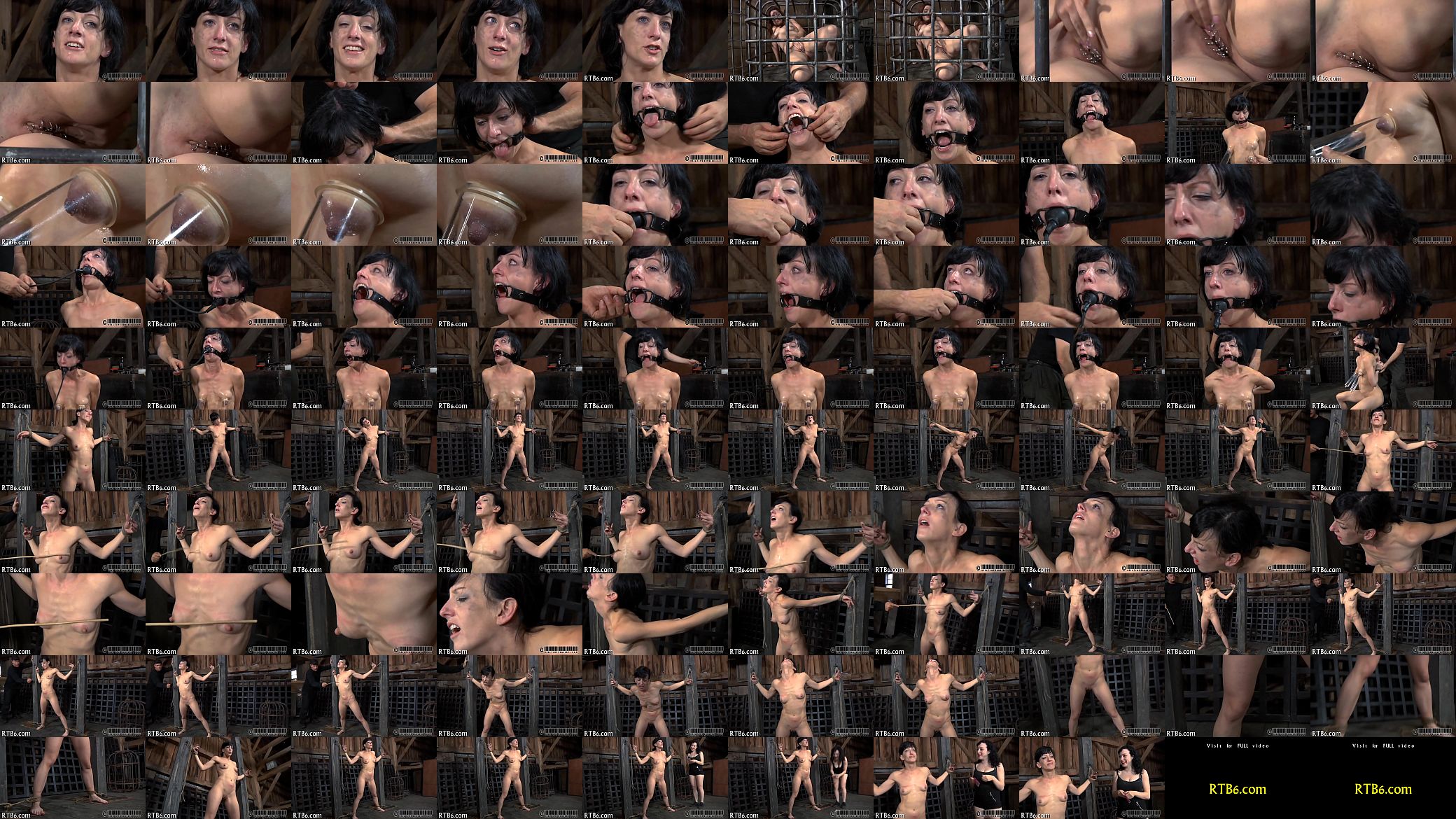 is t. babe&#039;s cunt 预览图