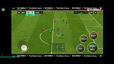 Papeo y detono a crazed fish cat