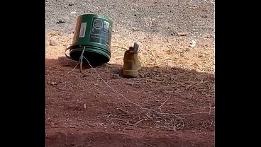 Vídeo de verificação