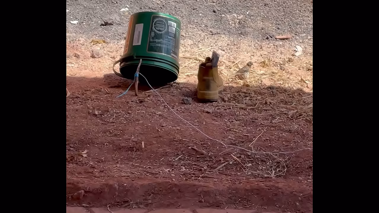 V&iacute_deo de verifica&ccedil_&atilde_o