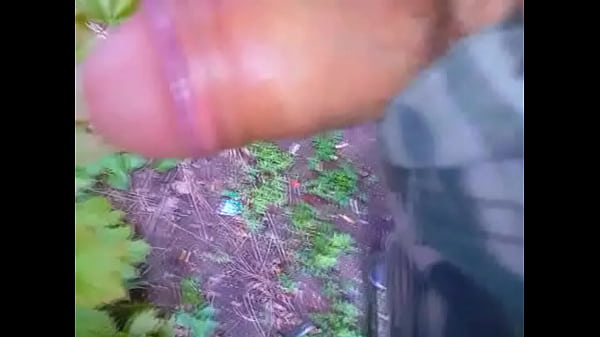 Samotny poranny spacer