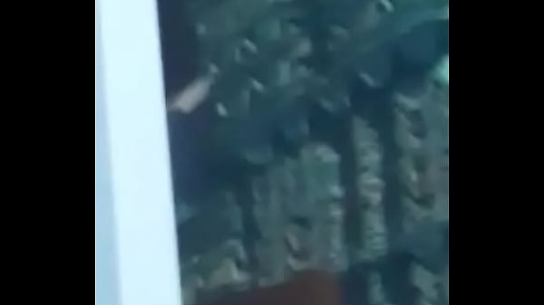 GATA SAFADA d. EM CIMA DO OVO