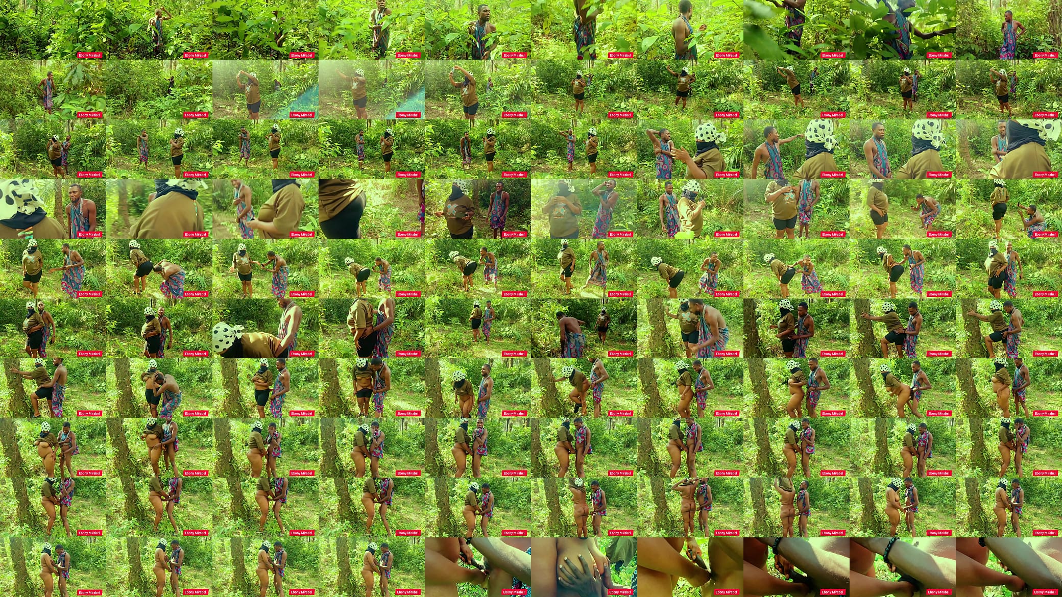 Doing research in a Bush, and I see this man he help and snap me some pictures, and we end up having sex 预览图
