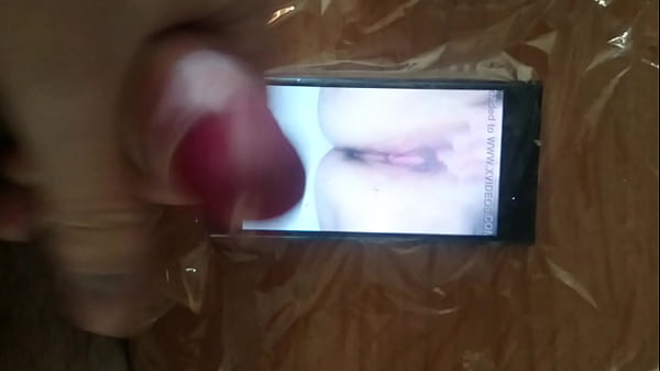 Download Video - Tributo a quella figa di Grande1977