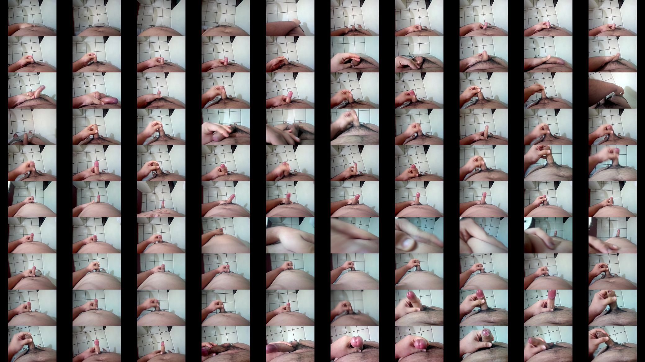 Paja Gordo Casero 预览图