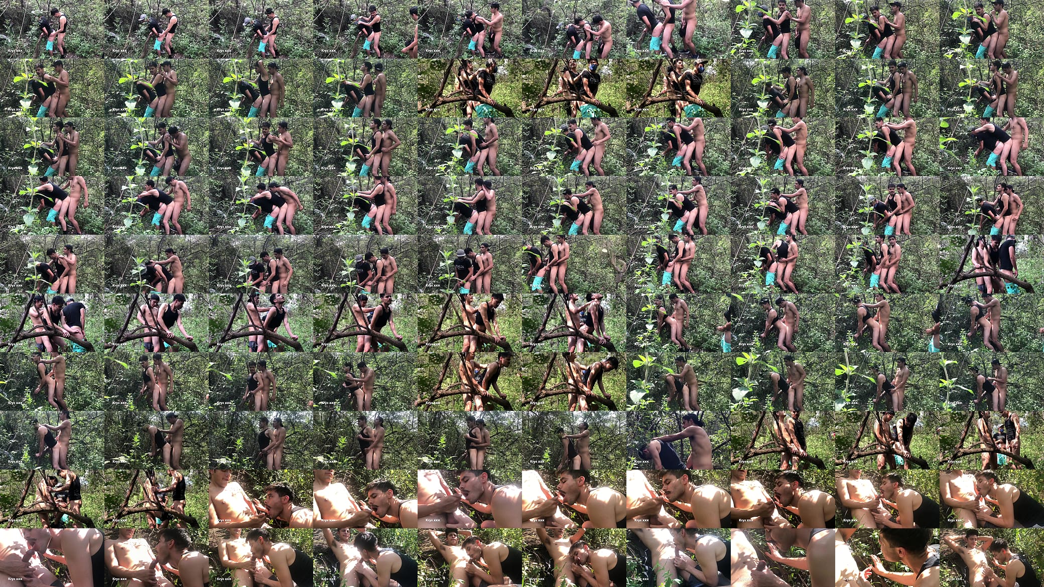 Fucking in the park. PART 4 预览图