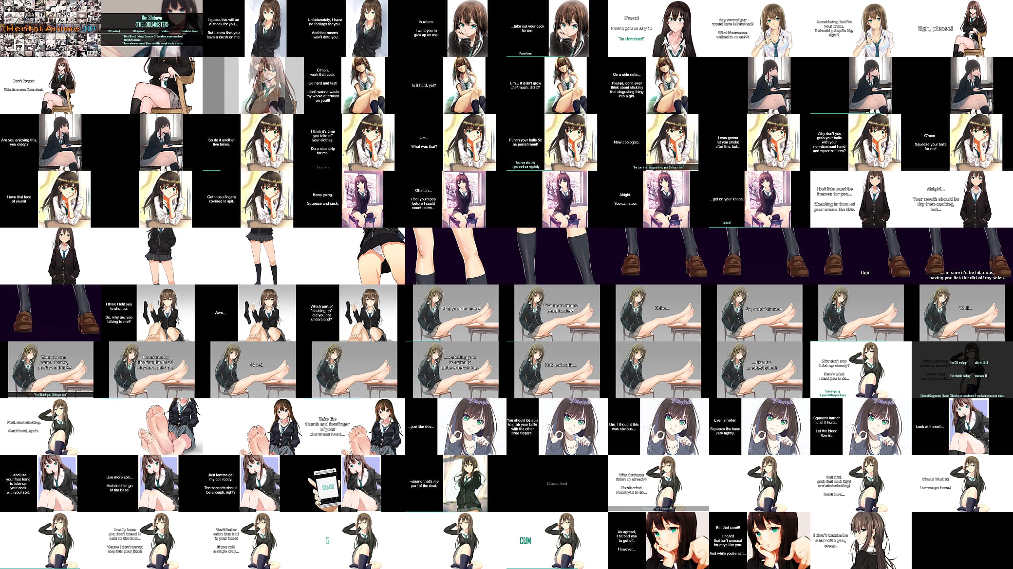 Rin Shibuya CBT JOI 预览图
