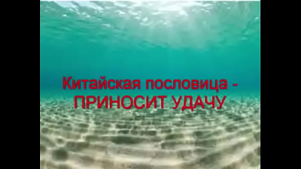 Видео для верификации