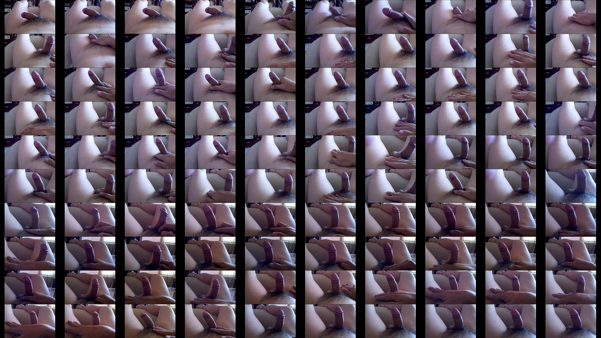 Viet nam Cock 预览图